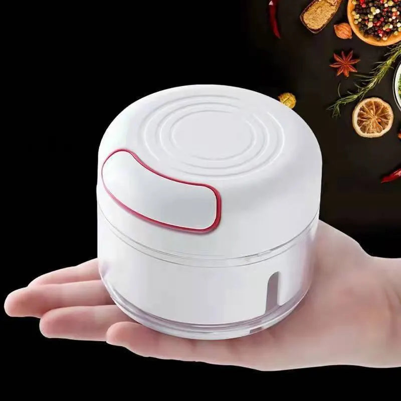 Plastic Garlic Crusher Press Vegetable Cutter